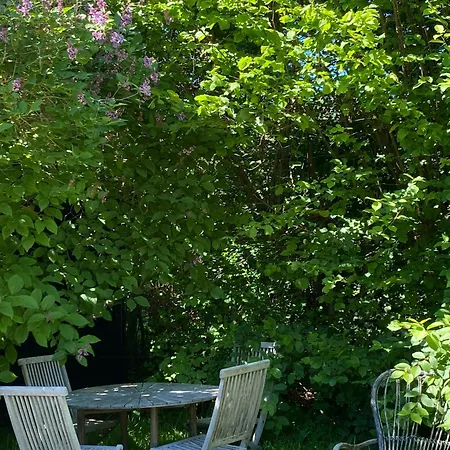 Renovated With Enclosed Flower Garden Casa vacanze *